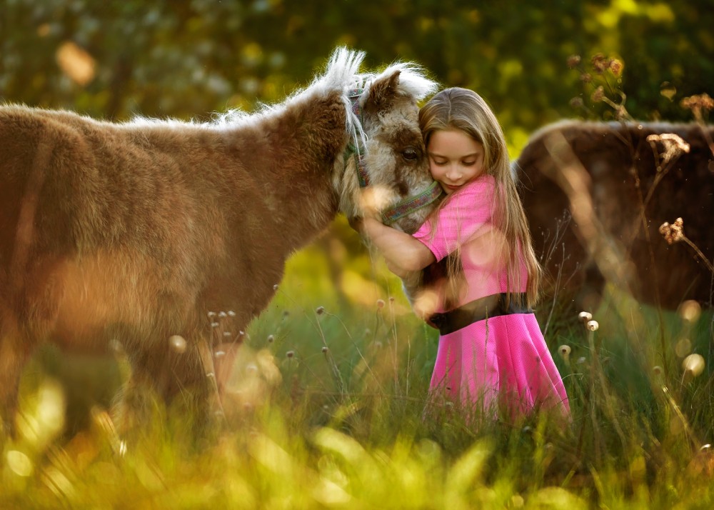 dziecko przytulające konia